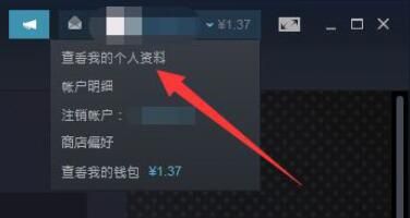 steam怎么查看交易链接-steam查看交易链接方法 www.qinpinchang.com
