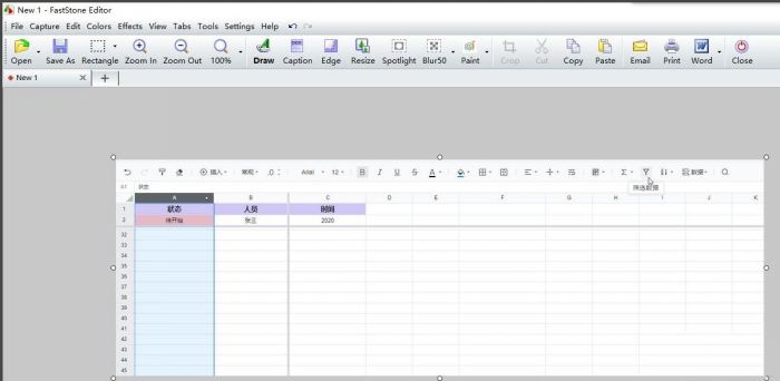 FastStone Capture怎么设置图片尺寸-设置图片尺寸方法 www.qinpinchang.com