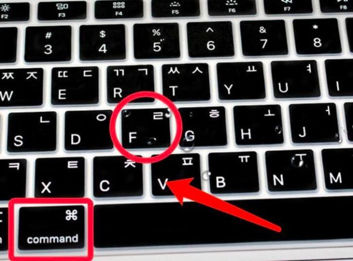 ps2021怎么快速打开发现窗口-ps2021快速打开发现窗口方法 www.qinpinchang.com