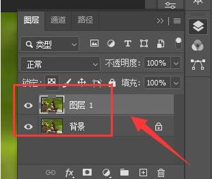 ps怎么制作线稿图片-ps制作线稿图片教程 www.qinpinchang.com