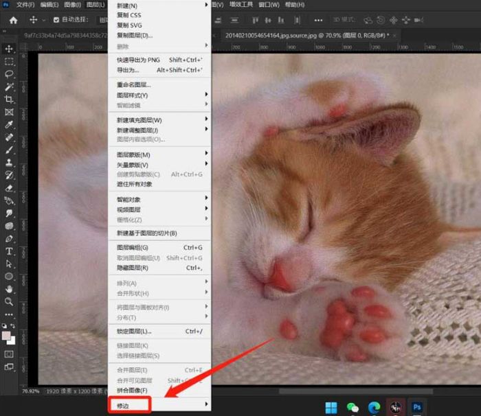 ps图片怎么修边-ps图片修边的具体方法 www.qinpinchang.com