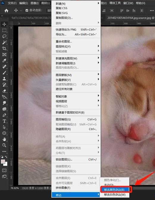 ps图片怎么修边-ps图片修边的具体方法 www.qinpinchang.com