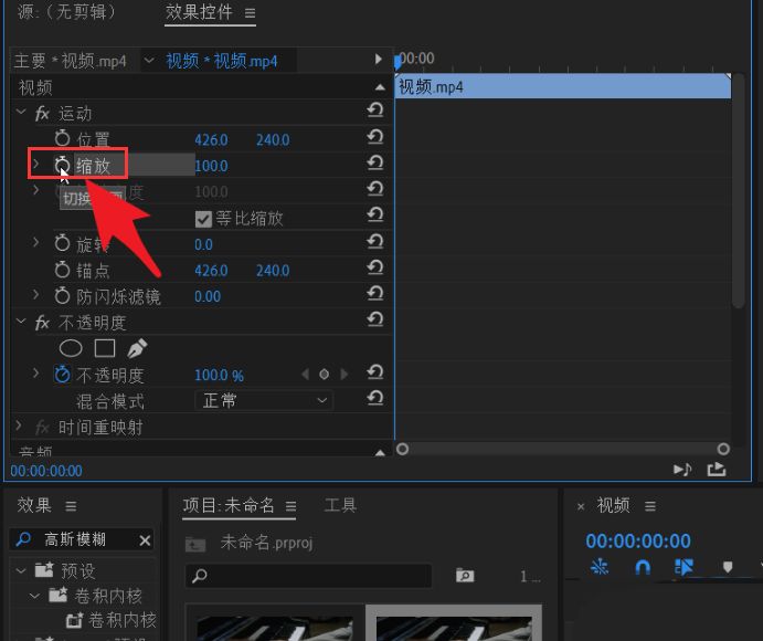 Pr怎么将视频添加放大效果-Pr将视频添加放大效果的方法 www.qinpinchang.com
