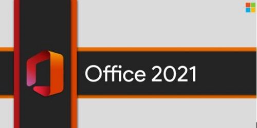 office365和office2021有什么区别-office365和office2021区别介绍 www.qinpinchang.com