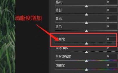 ps如何提高照片清晰度-ps提高照片清晰度教程 www.qinpinchang.com