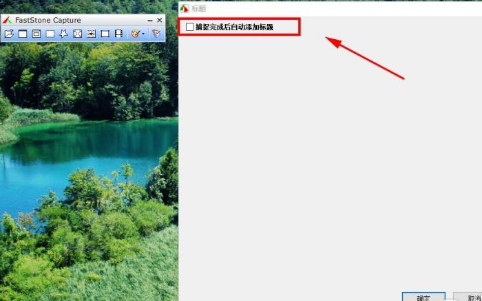 FastStone Capture怎么设置自动标题-设置自动标题方法 www.qinpinchang.com