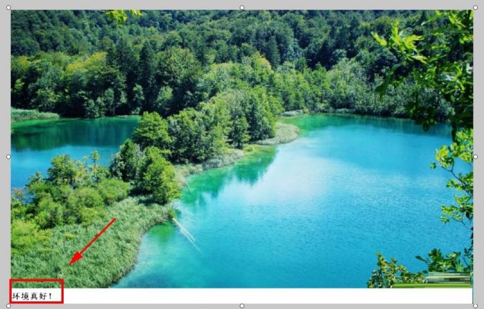 FastStone Capture怎么设置自动标题-设置自动标题方法 www.qinpinchang.com