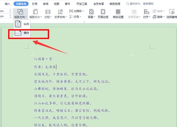 wps横向页面怎么设置-wps横向页面的设置方法 www.qinpinchang.com