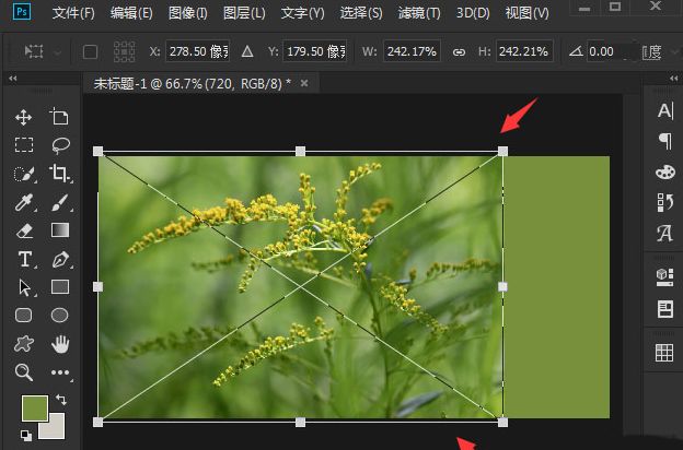 ps怎么将图层蒙版合成图片-ps将图层蒙版合成图片方法 www.qinpinchang.com