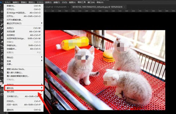 ps怎么设置灰度模式-ps设置灰度模式的具体步骤 www.qinpinchang.com