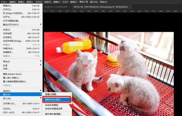 ps怎么设置灰度模式-ps设置灰度模式的具体步骤 www.qinpinchang.com