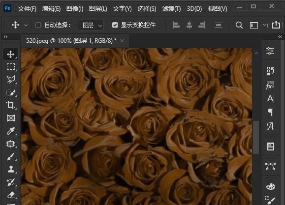 ps2021照片滤镜怎么调色-ps2021照片滤镜调色方法 www.qinpinchang.com