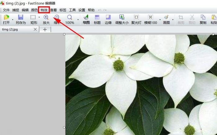 FastStone Capture怎么将照片做成油画-将照片做成油画方法 www.qinpinchang.com