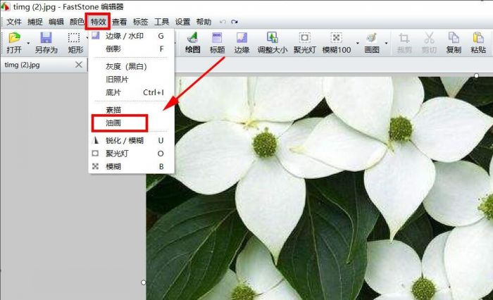 FastStone Capture怎么将照片做成油画-将照片做成油画方法 www.qinpinchang.com