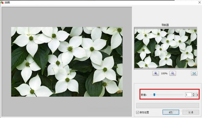FastStone Capture怎么将照片做成油画-将照片做成油画方法 www.qinpinchang.com