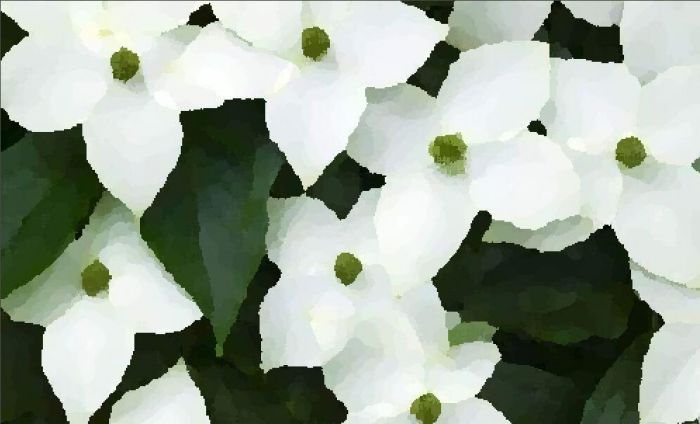 FastStone Capture怎么将照片做成油画-将照片做成油画方法 www.qinpinchang.com