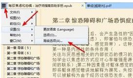 SumatraPDF怎么调节字体大小-SumatraPDF调节字体大小方法 www.qinpinchang.com