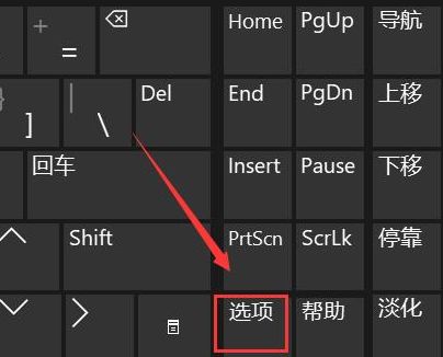 Windows11键盘失灵怎么办-Windows11键盘失灵解决办法 www.qinpinchang.com